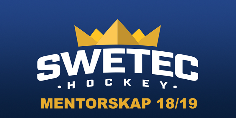 MENTORSKAP
